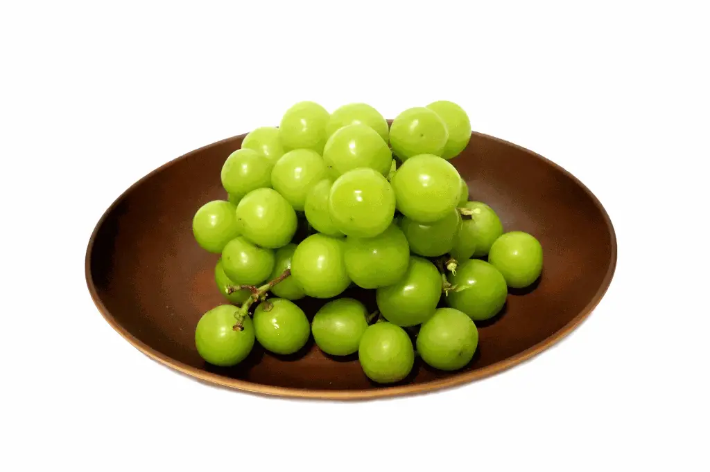 Shine Muscat [500g]