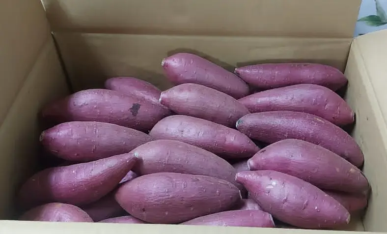 Japanese Sweet Potato (700g)