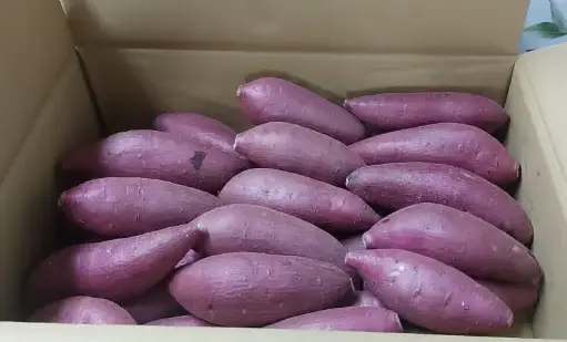 Japanese Sweet Potato (700g)